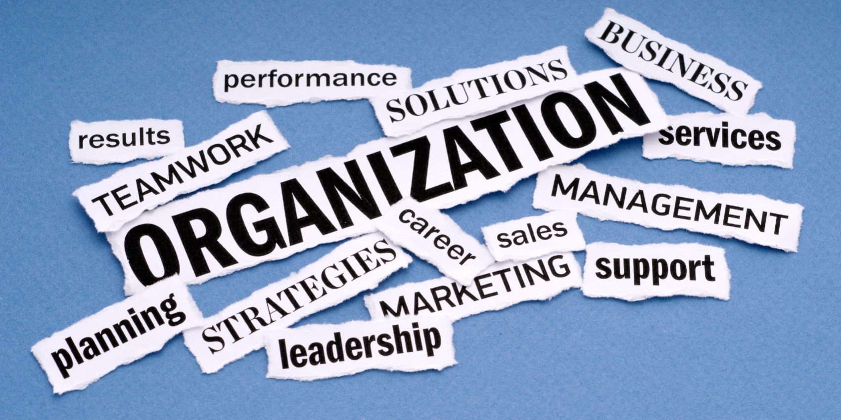 HR in Business Of All Size: Importance And Functions